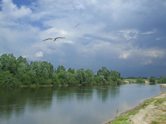 Image - The Seim River near Bakhmach.